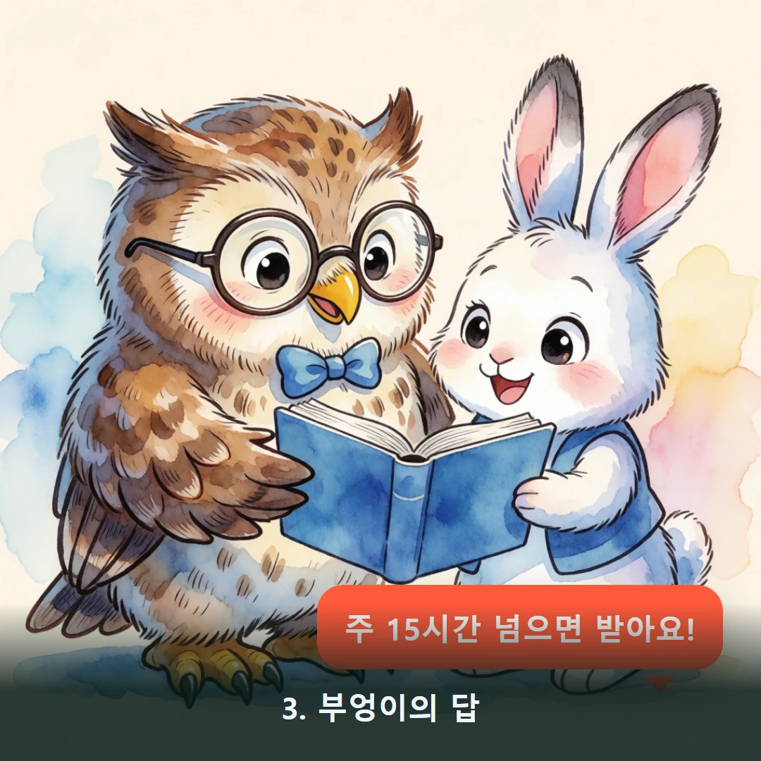 웹툰 3컷 — 3. 부엉이의 답 (주 15시간 넘으면 받아요!)