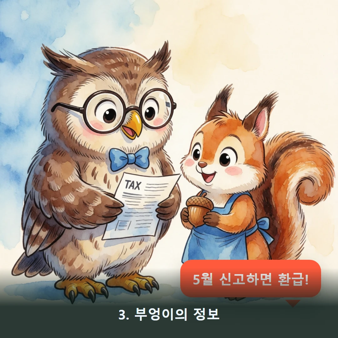 웹툰 3컷 — 3. 부엉이의 정보 (5월 신고하면 환급!)