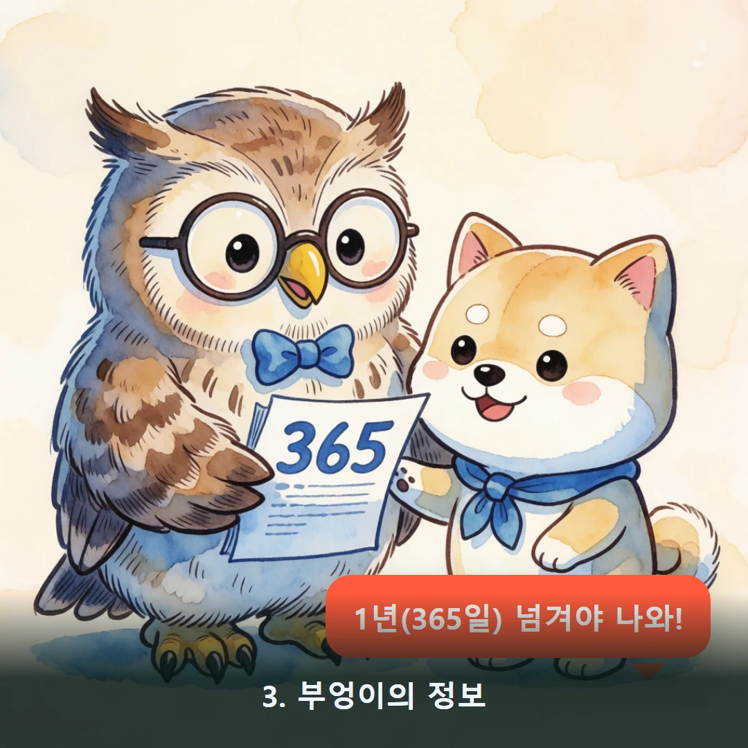 웹툰 3컷 — 3. 부엉이의 정보 (1년(365일) 넘겨야 나와!)