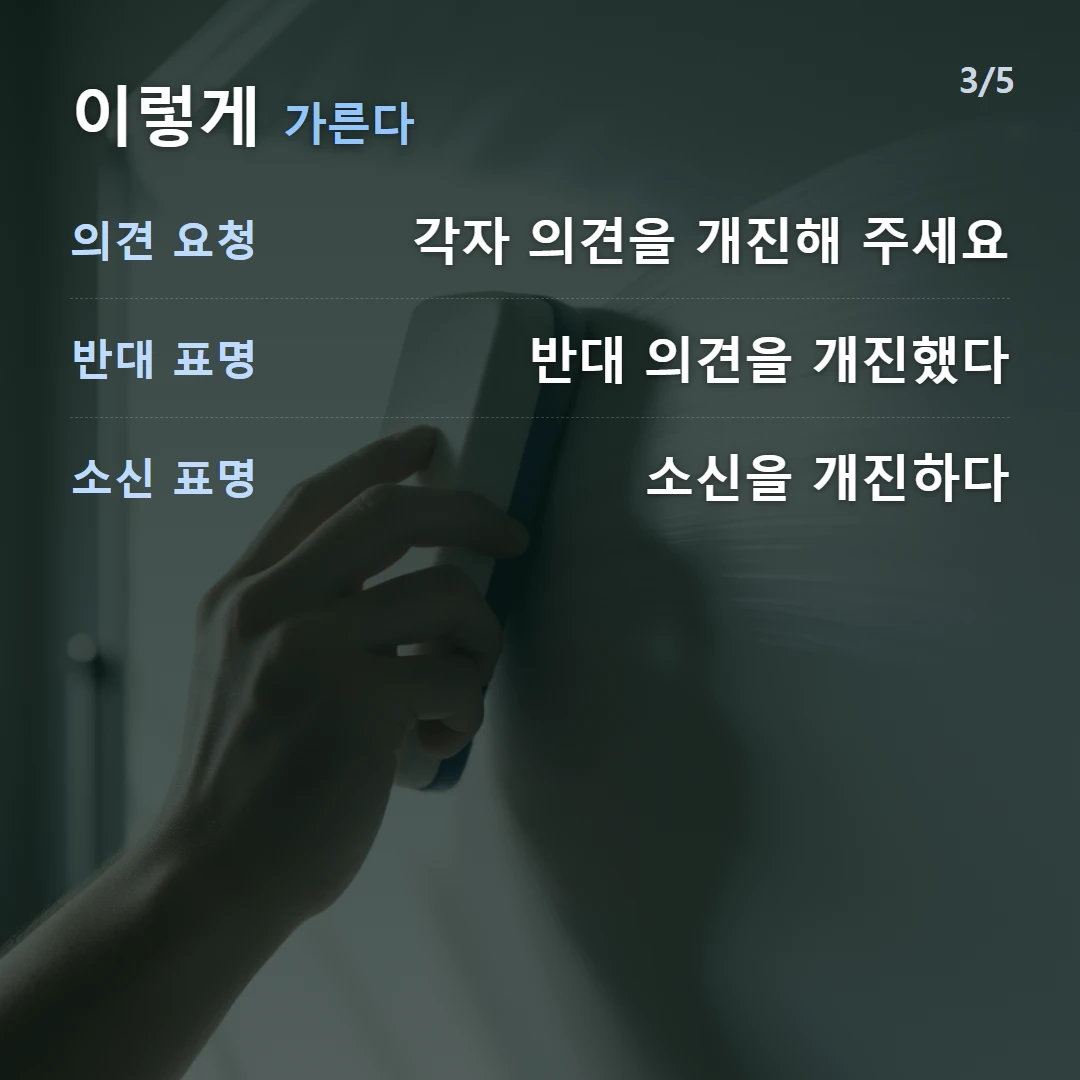 이렇게 가른다 — 의견 요청 각자 의견을 개진해 주세요, 반대 표명 반대 의견을 개진했다, 소신 표명 소신을 개진하다