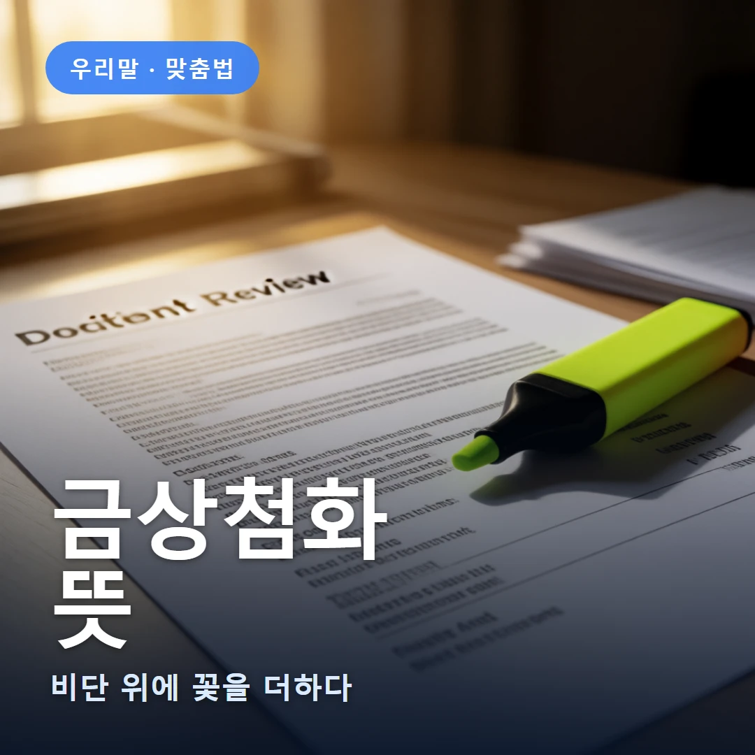 금상첨화 요약 표지 — 비단 위에 꽃을 더하다