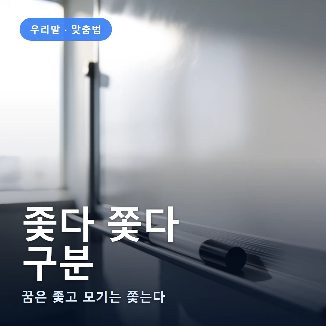 좇다 쫓다 요약 표지 — 꿈은 좇고 모기는 쫓는다