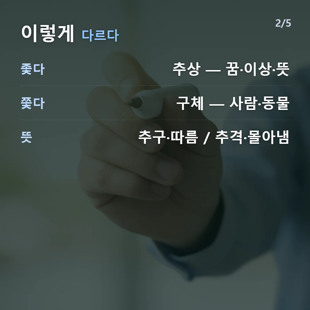이렇게 다르다 — 좇다 추상 — 꿈·이상·뜻, 쫓다 구체 — 사람·동물, 뜻 추구·따름 / 추격·몰아냄