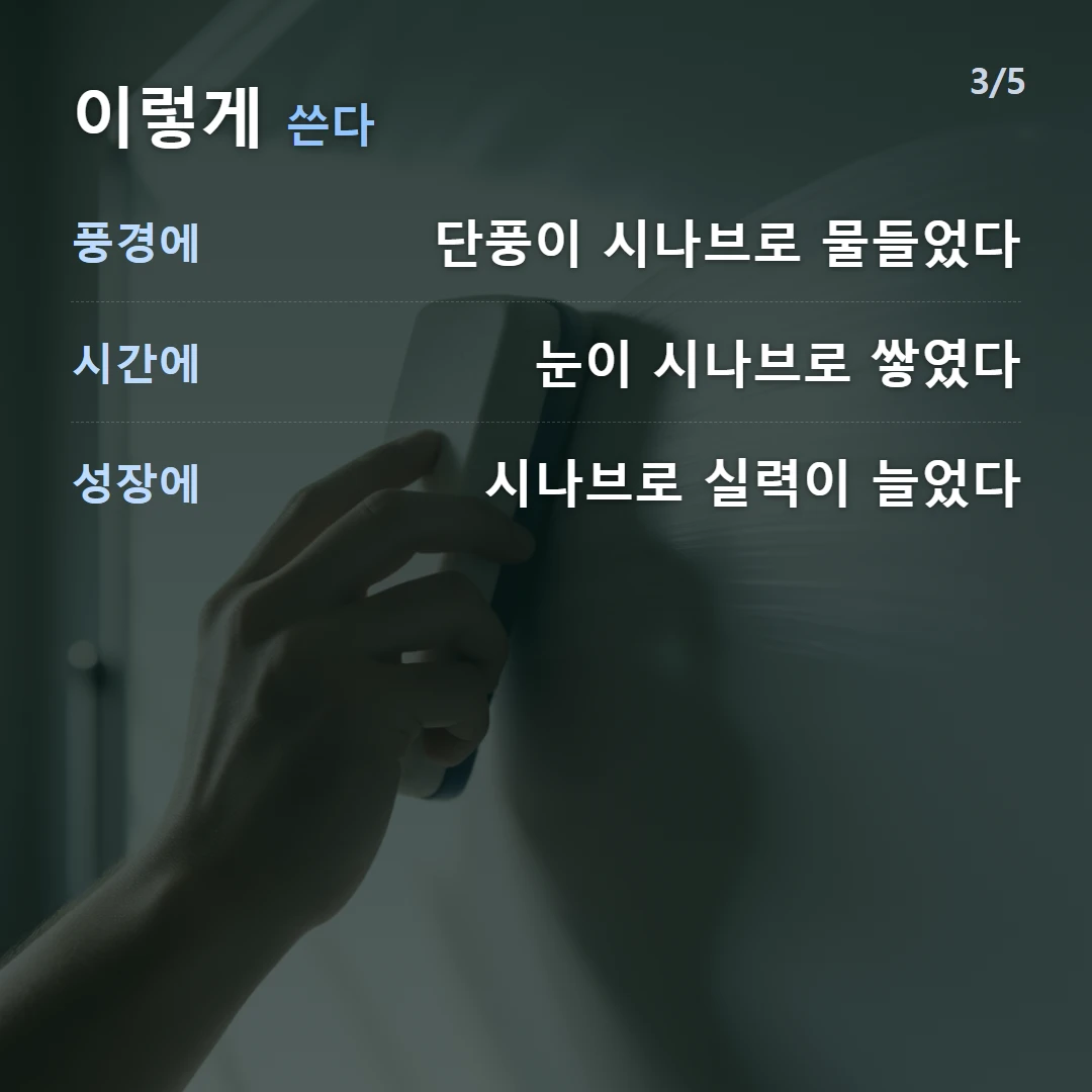 이렇게 쓴다 — 풍경에 단풍이 시나브로 물들었다, 시간에 눈이 시나브로 쌓였다, 성장에 시나브로 실력이 늘었다